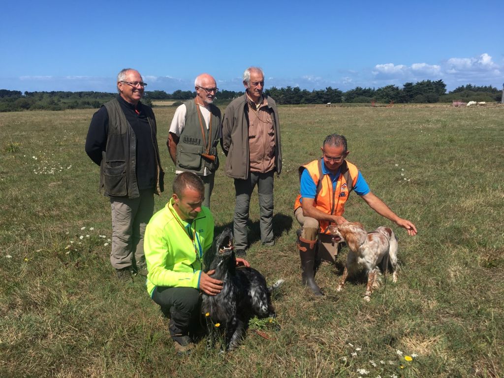 De L'Orée Du Gavre - Field trial belle île en mer 1 septembre 2019