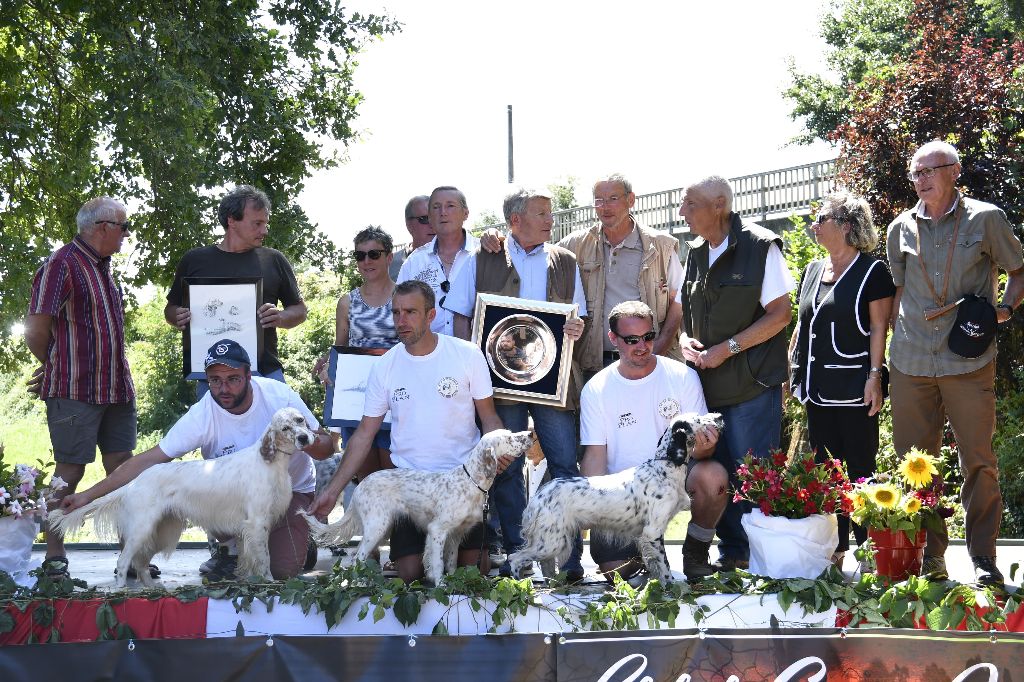 De L'Orée Du Gavre - Moly du clos résineux vice vainqueur de la  CFN 2018