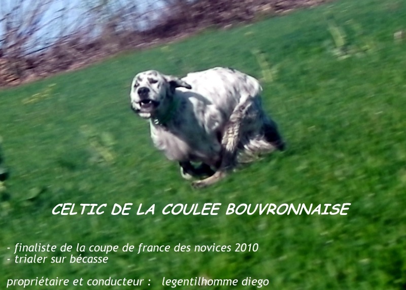 Celtic de la Coulée Bouvronnaise